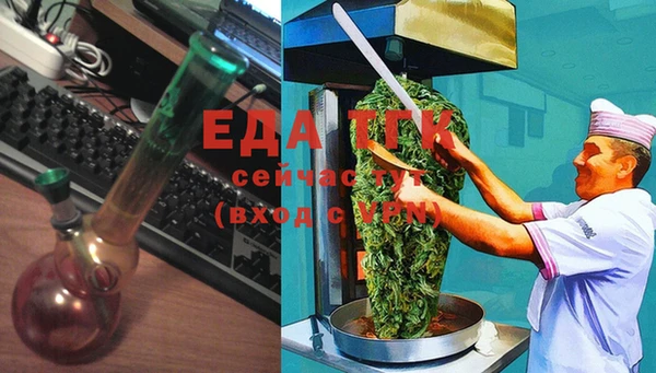 соль ск Инсар