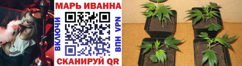 Канабис гибрид  Выборг 